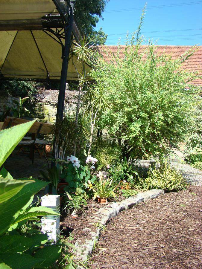 Apartament Toscana